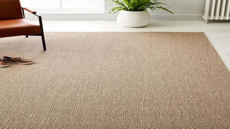 Why Should You Choose Sisal Carpets for Your Home?
