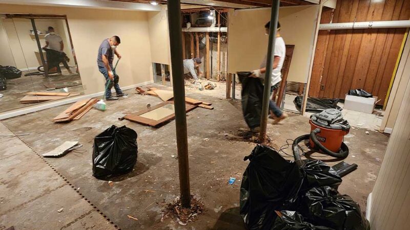 Why Does Water Damage Restoration Require Quick Action?