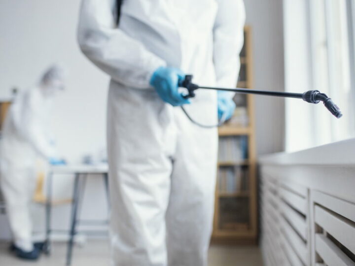 Mira Home’s Expert Tips: How to Get Rid of Roaches Effectively