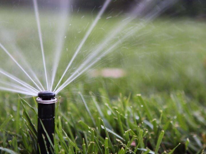 Fix the Sprinklers Issue with the Right Service