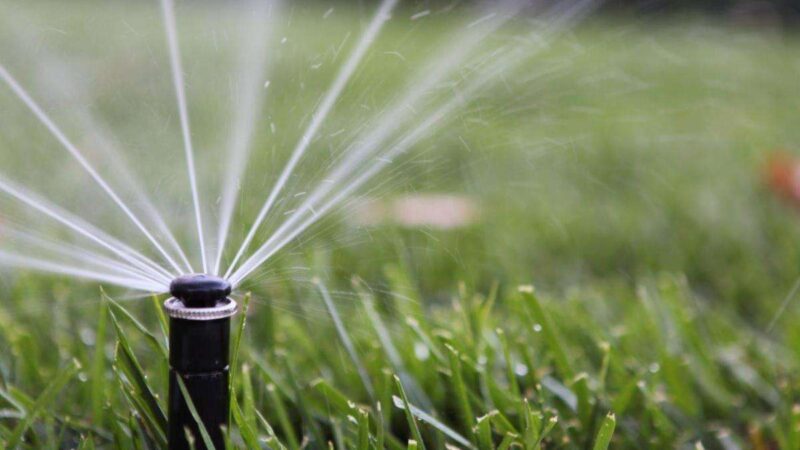 Fix the Sprinklers Issue with the Right Service
