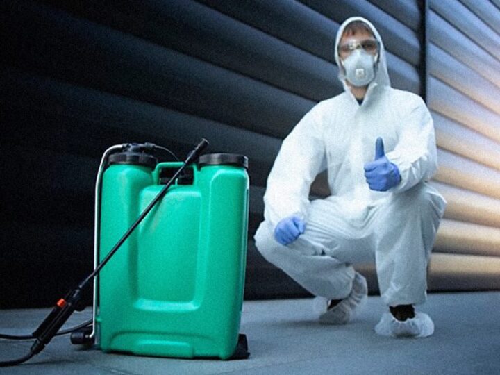 How Long Does Pest Control Spray Last & Stays Effective? How to Protect Yourself at Home