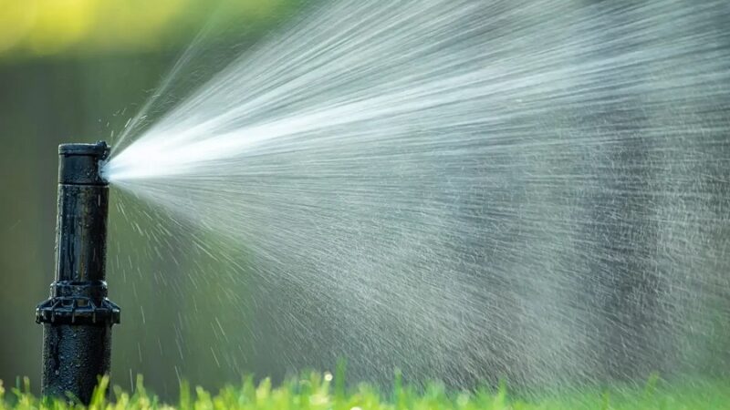 Why Professional Irrigation Services Are Worth the Investment
